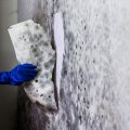 Mold Removal and Prevention on Long Island